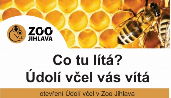 Otevření Údolí včel v Zoo Jihlava