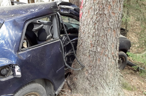 Řidička osobního automobilu narazila na Jihlavsku do stromu