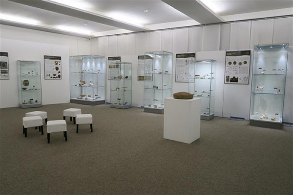 Muzeum Vysočiny Jihlava má až do konce srpna otevřeno 7 dní v týdnu