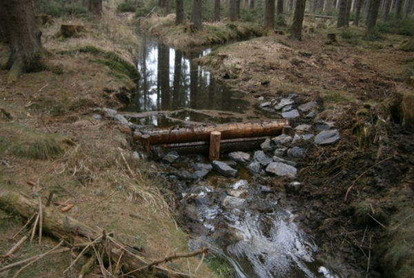 Vodohospodáři z Lesů ČR vybudovali na Žďársku dřevěné prahy, které zadržují v lesích vodu