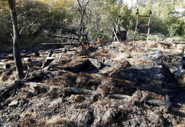 Škodu čtvrt milionu korun za sebou zanechal požár chatky na Havlíčkobrodsku